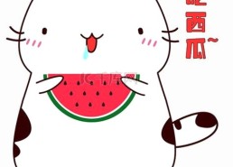 女演员小A的娱乐圈历程：从低调新人到公益典范的时间线回顾