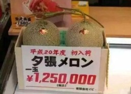 明星八卦背后的多面宋雨琦与汪峰：娱乐圈吃瓜文化解读