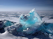 明星八卦揭秘：肖战视频与娱乐圈内幕全记录