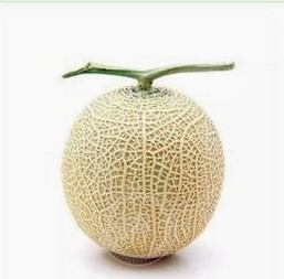 揭秘娱乐圈纯净水与神秘吃瓜博主的双面世界