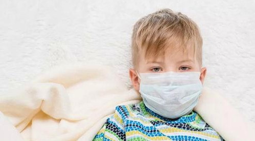 酱猫的娱乐圈传奇：从萌宠到跨界红星的成长轨迹