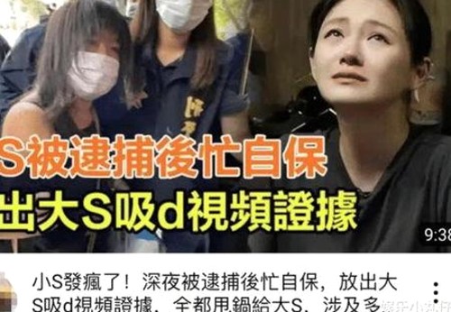 娱乐圈的吃瓜生活:从萌猫“吃瓜酱”到明星幕后趣闻大揭秘