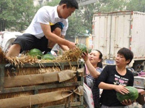 娱乐圈的吃瓜生活:从萌猫“吃瓜酱”到明星幕后趣闻大揭秘