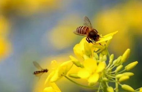 娱乐圈吃瓜大事件回顾:从小助理逆袭到顶流的故事